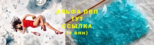 прущие грибы Верея